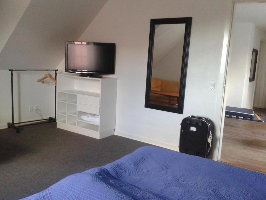 TV a/nebo společenská místnost v ubytování Hannas B&B - 51 m2