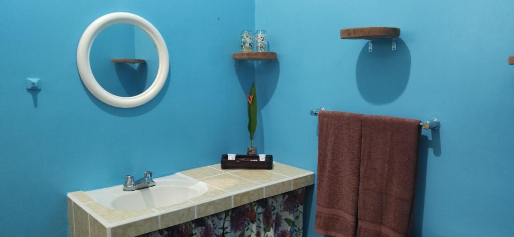 Fotografie z fotogalerie ubytování Gran Gavilán del Sarapiquí Lodge v destinaci Sarapiquí