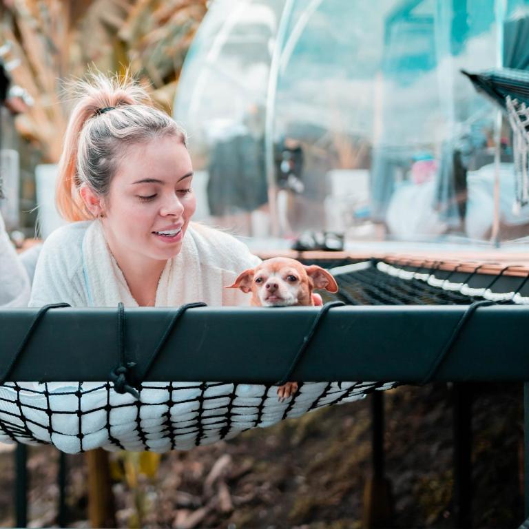 Majutusasutuse Chamí Glamping külastajad