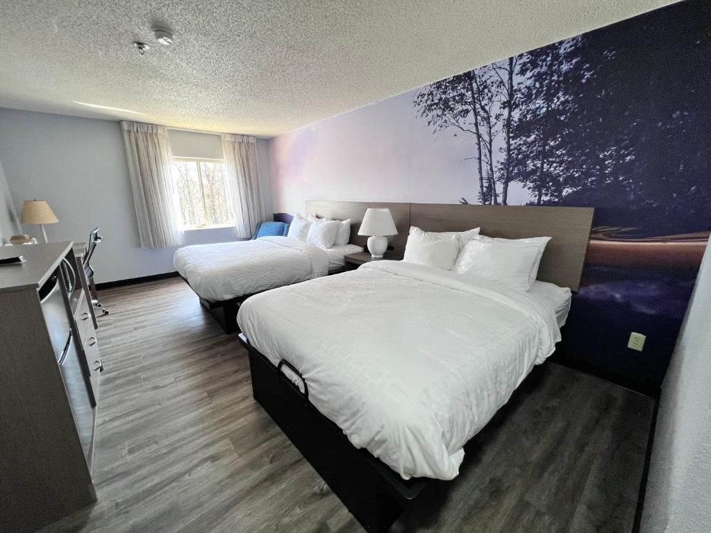 Clarion Pointe on the lake Clarksville-South Hill West - 标准的大号床，有两张大床 - 不吸烟