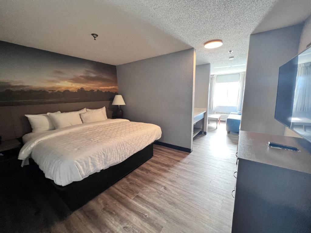 Clarion Pointe on the lake Clarksville-South Hill West - Suite King Met Sofabed En Lake View - Niet Roken