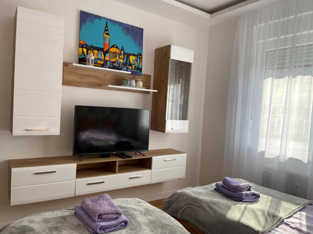 TV a/nebo společenská místnost v ubytování Apartman MDB