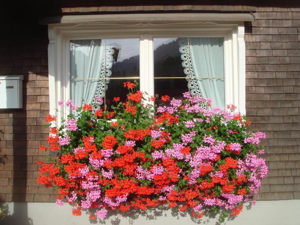 Zahrada ubytování Apartment Sutterlüty
