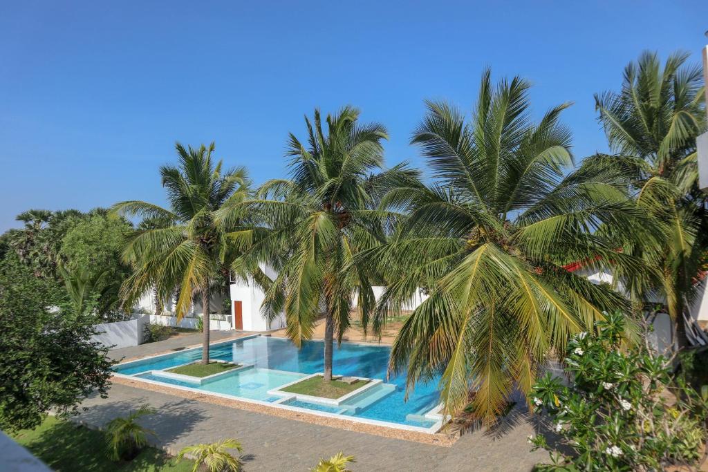 einen Luftblick auf einen Pool mit Palmen in der Unterkunft Reddalf's Holiday Resorts in Arugam Bay