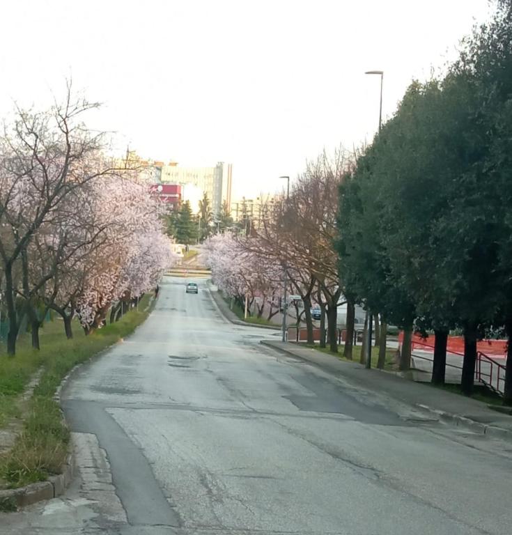 Zdjęcie z galerii obiektu CASA STELLA San Sisto w mieście Perugia