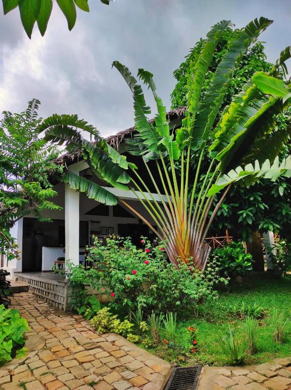 Giardino di Hotel Benjamin