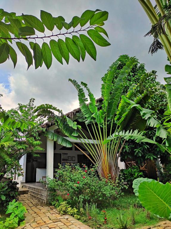 Giardino di Hotel Benjamin