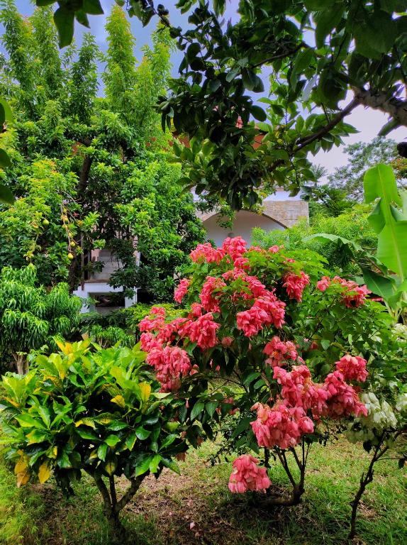 Giardino di Hotel Benjamin