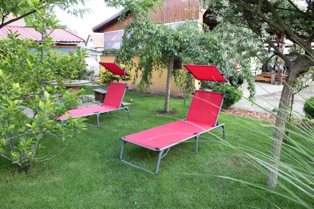 Vonkajšia záhrada v ubytovaní Zserbó Apartman- Poroszló