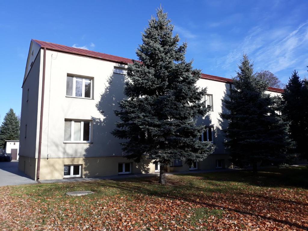 a building with a tree in front of it at Pokoje u Ludwika in Włodawa