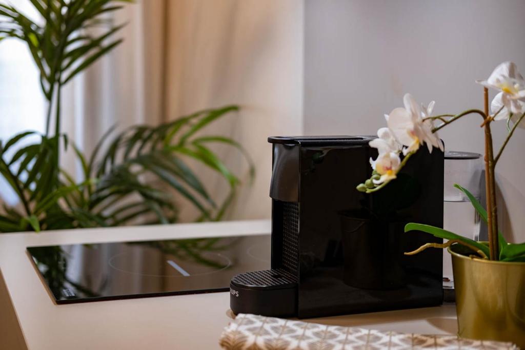 Verona Romana Apartments - 10