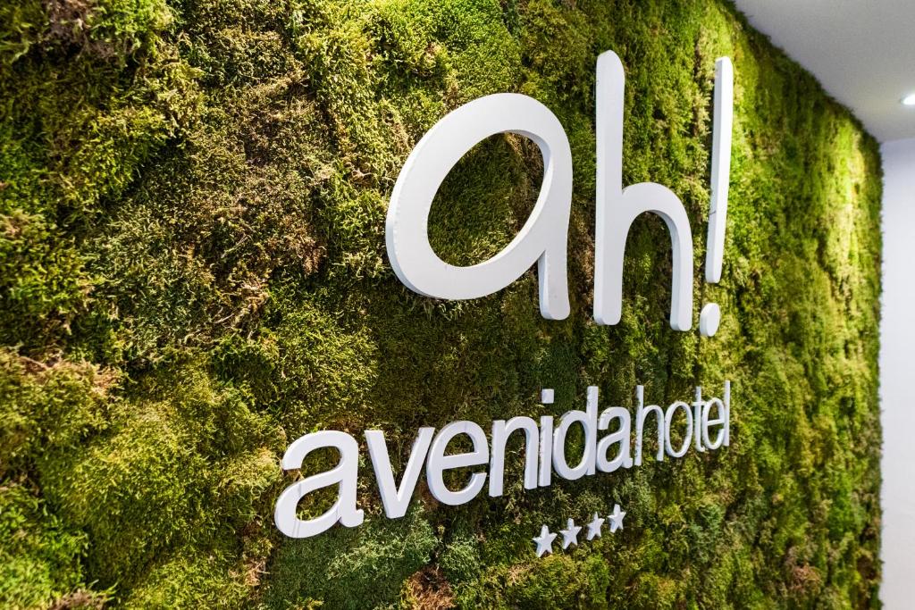 Certifikát, hodnocení, plakát nebo jiný dokument vystavený v ubytování Avenida Hotel