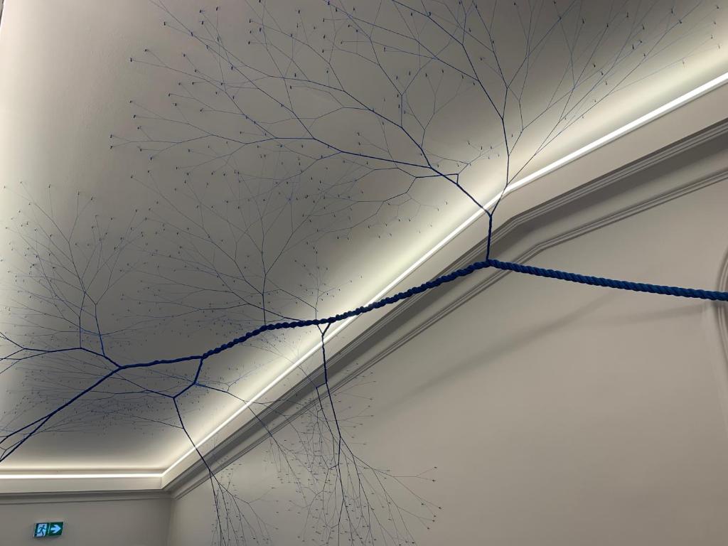 Hôtel Le Canberra - Resim 19