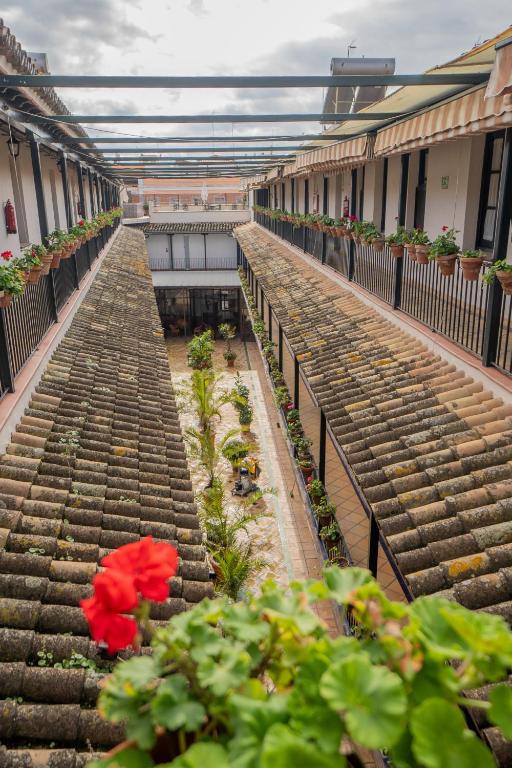 RentalSevilla Durmiendo en la Alameda, Seville – Updated 2023 ...