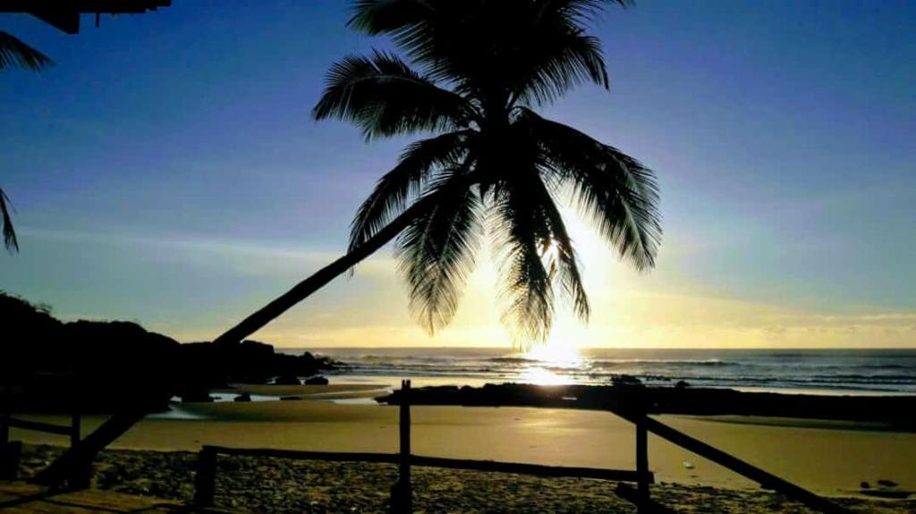 a palm tree on the beach with the sunset at Casa temporada ilheus in Ilhéus