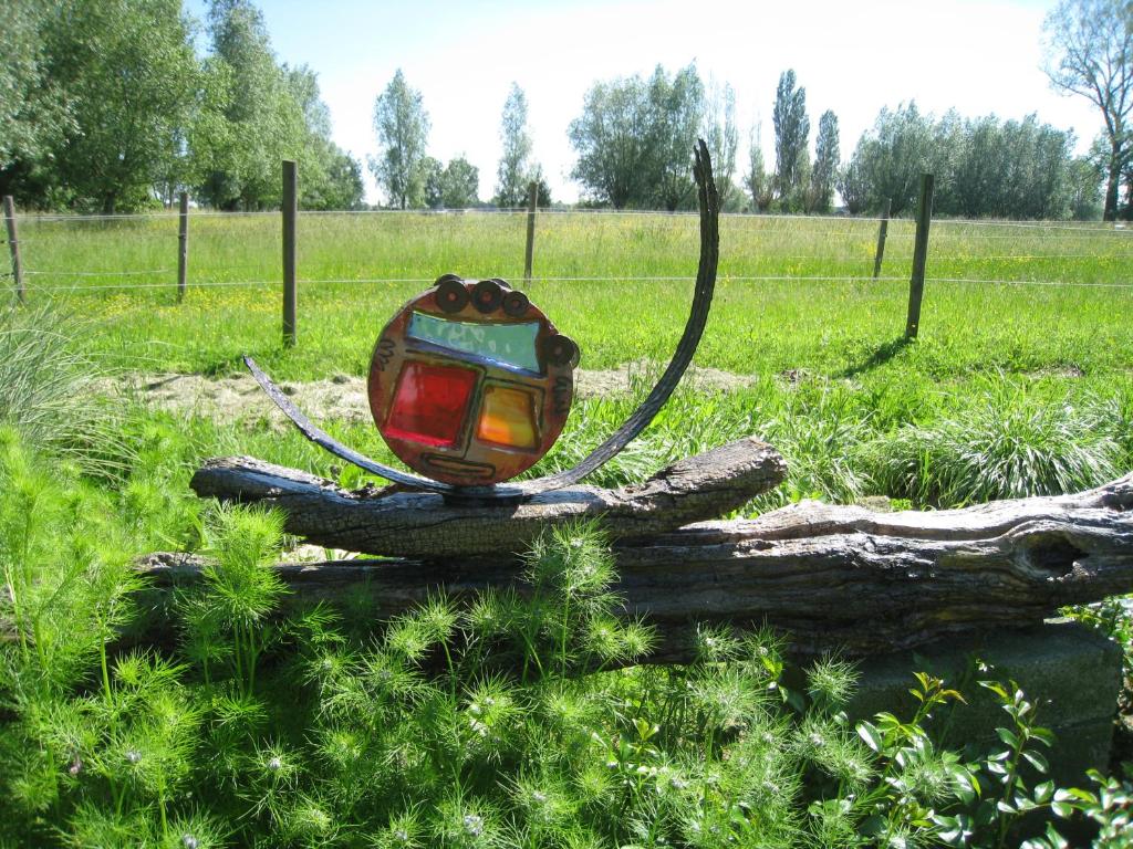 Zahrada ubytování Vakantiehuis in de velden met zwemvijver en Jeu de Boules baan