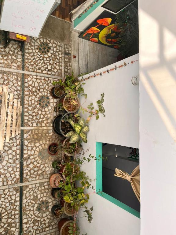 Fotografie z fotogalerie ubytování Pachamama Hostel v destinaci Džajpur