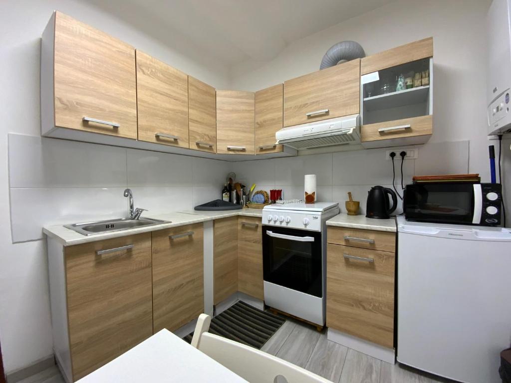 Kuchyňa alebo kuchynka v ubytovaní CASA CAMELIE