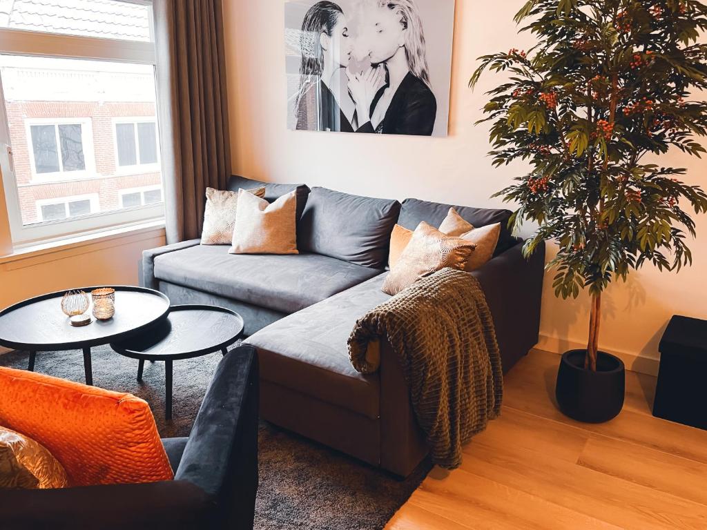 Bella's Place - Housity