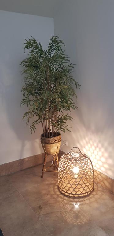 Hotel Oriente - Resim 29