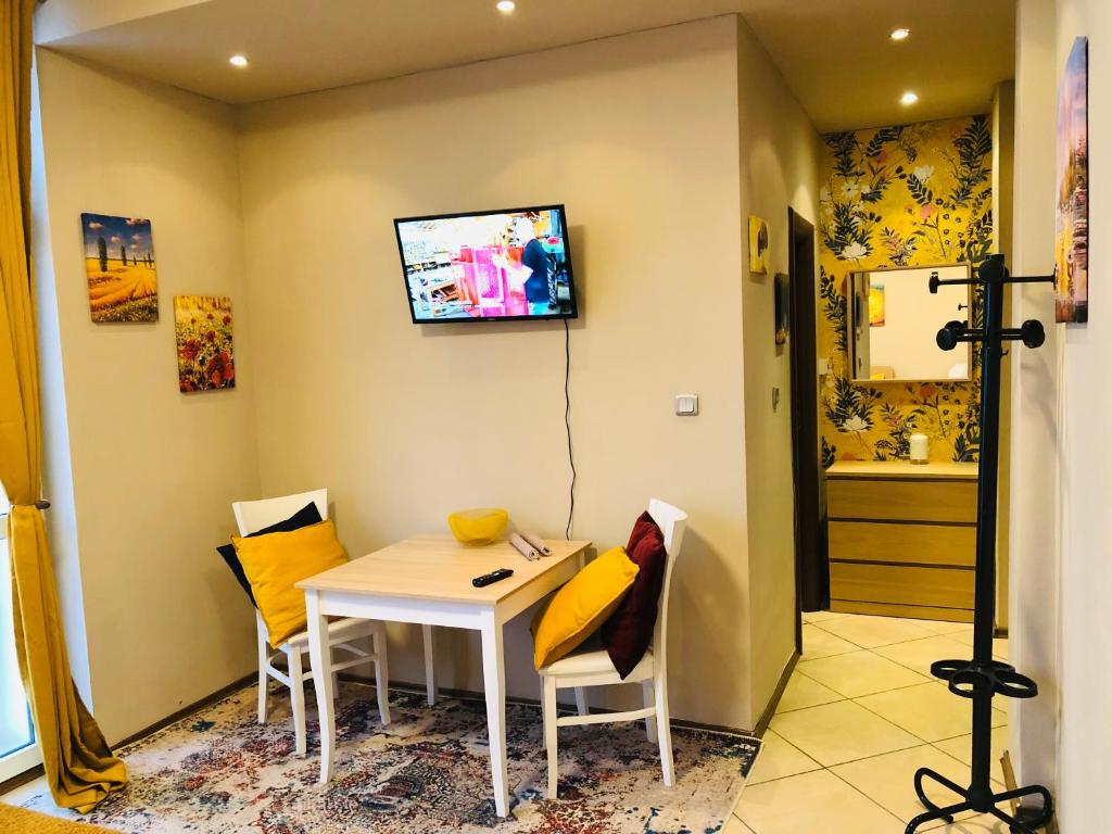 Private Studio Center Opera and Nevski Cathedral - Deluxe Double Studio