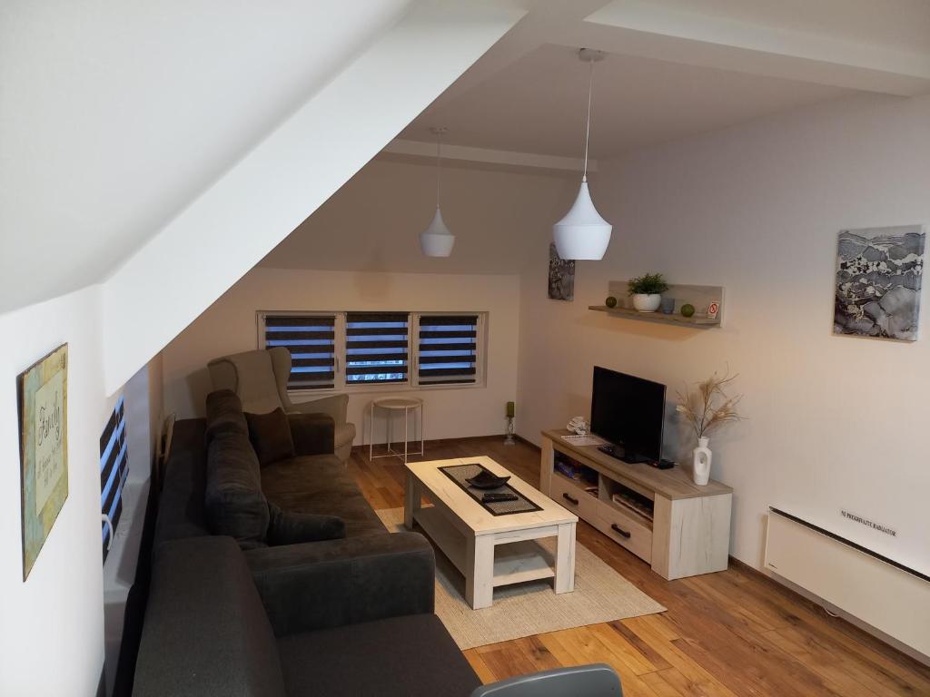 TV a/nebo společenská místnost v ubytování Apartman Tanja