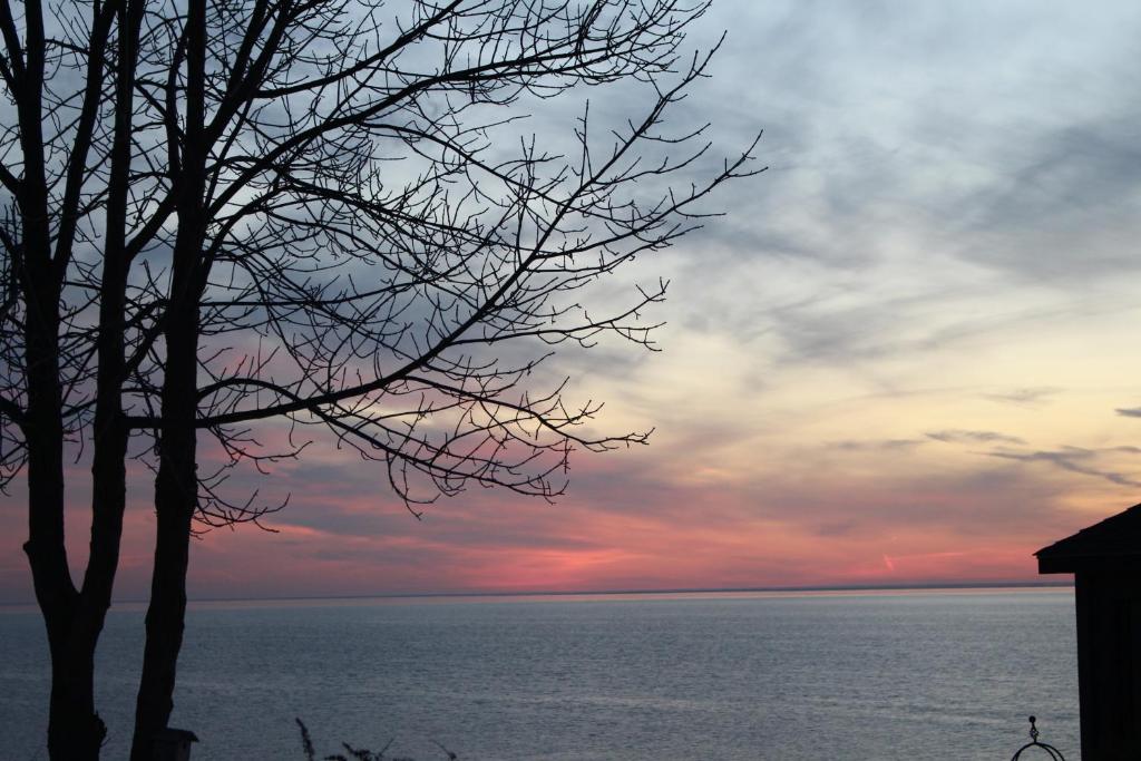 Cheerful life at cottage on Lake Erie - Housity