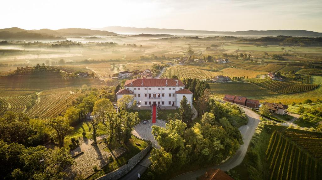 eine Luftansicht eines weißen Gebäudes auf einem Weinberg in der Unterkunft Vila Vipolže - Rooms & J. Suites in Vipolže