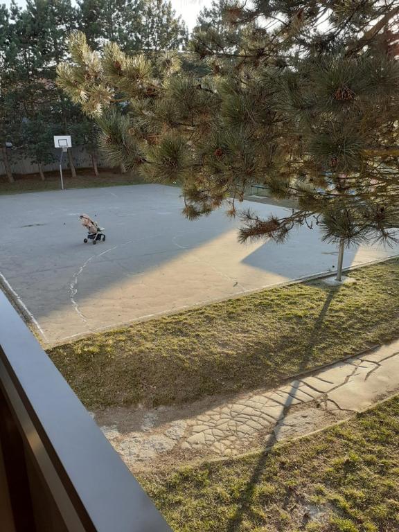 Zahrada ubytování Apartmán Love Bojnice