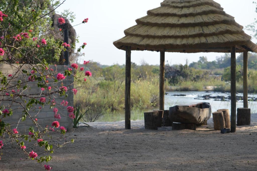 ein Pavillon mit einem Vogel, der neben einem Fluss sitzt in der Unterkunft White Sands Lodge in Divundu