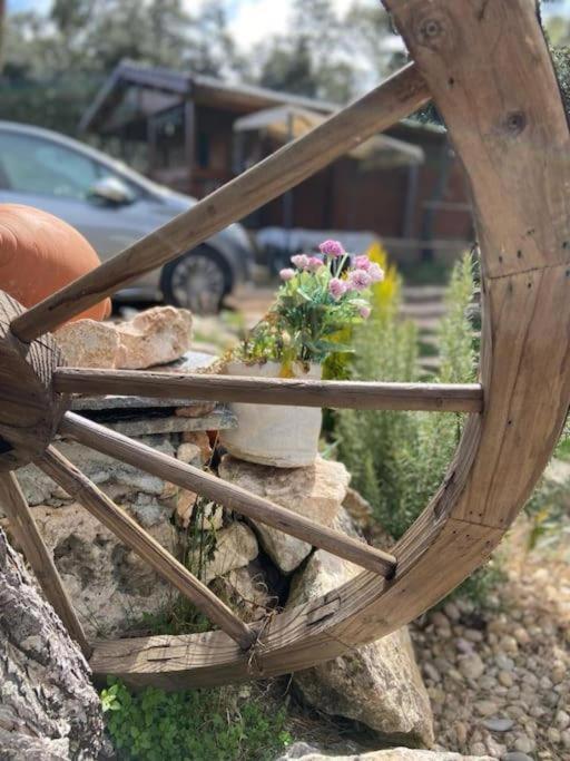 Zahrada ubytování Desconexión y paz, cabaña en la sierra