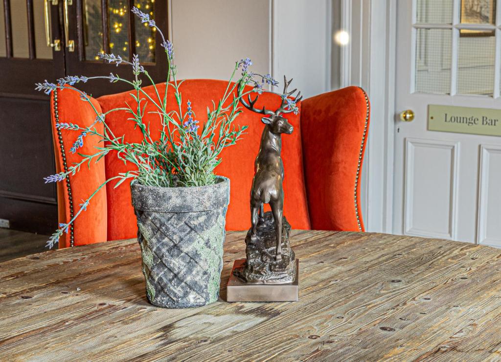 Lansdown Grove Hotel - Resim 33