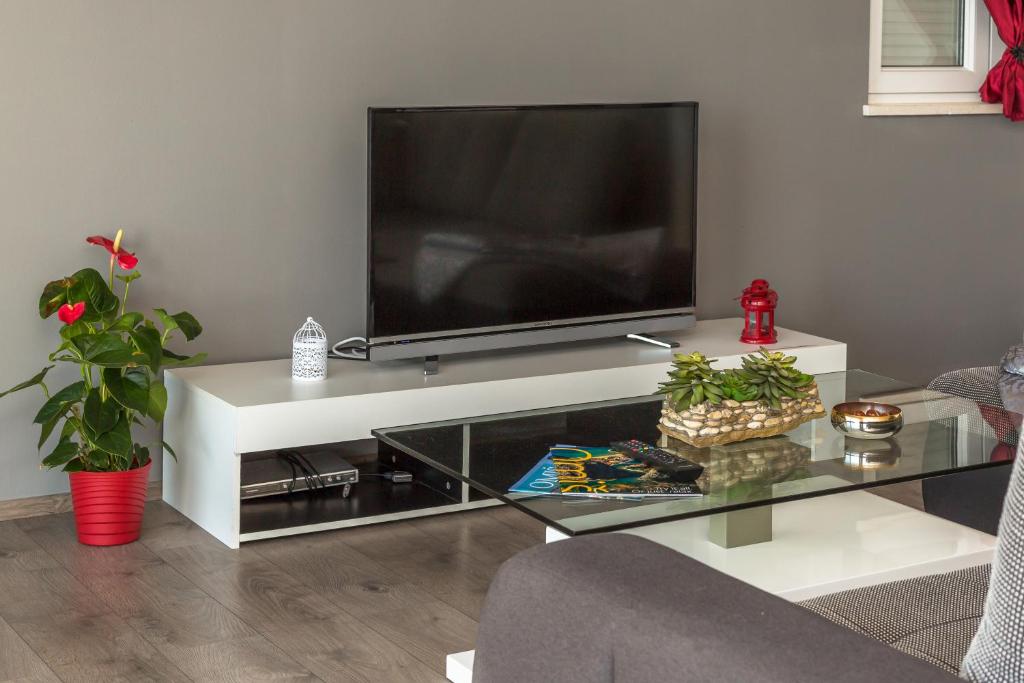 Televízia a/alebo spoločenská miestnosť v ubytovaní MODERN apartment OMIS