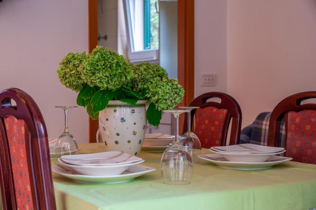 Fotografie z fotogalerie ubytování Apartments Zdena v Murteru