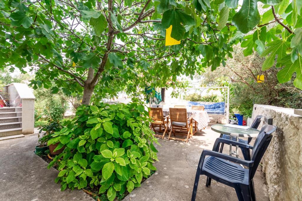Zahrada ubytování Apartments Zdena