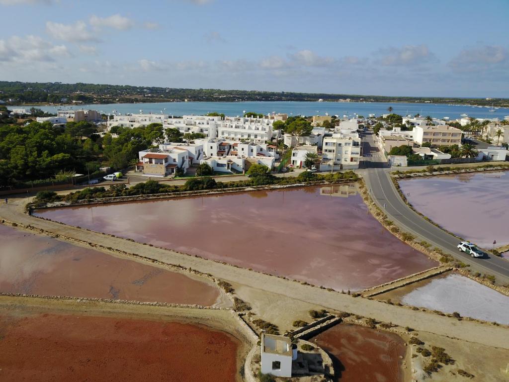 an aerial view of a beach with houses and buildings at Apartamentos Mar y Sal in La Savina