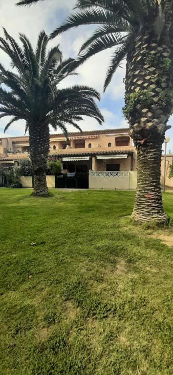 deux palmiers dans un champ devant un bâtiment dans l'établissement LES BOUGAINVILLIERS - Appt 4 pers Vue dégagée proche plage - Parking, à Saint-Cyprien