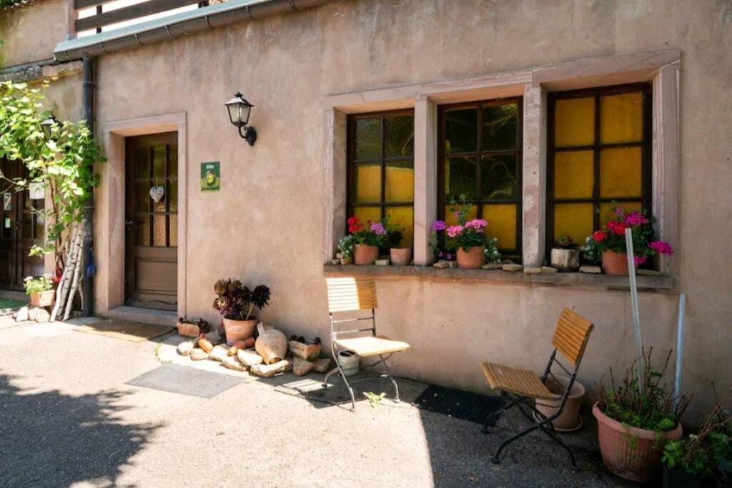 gîte l'œuf ou la poule, parking privé, sur domaine viticole – photo 5