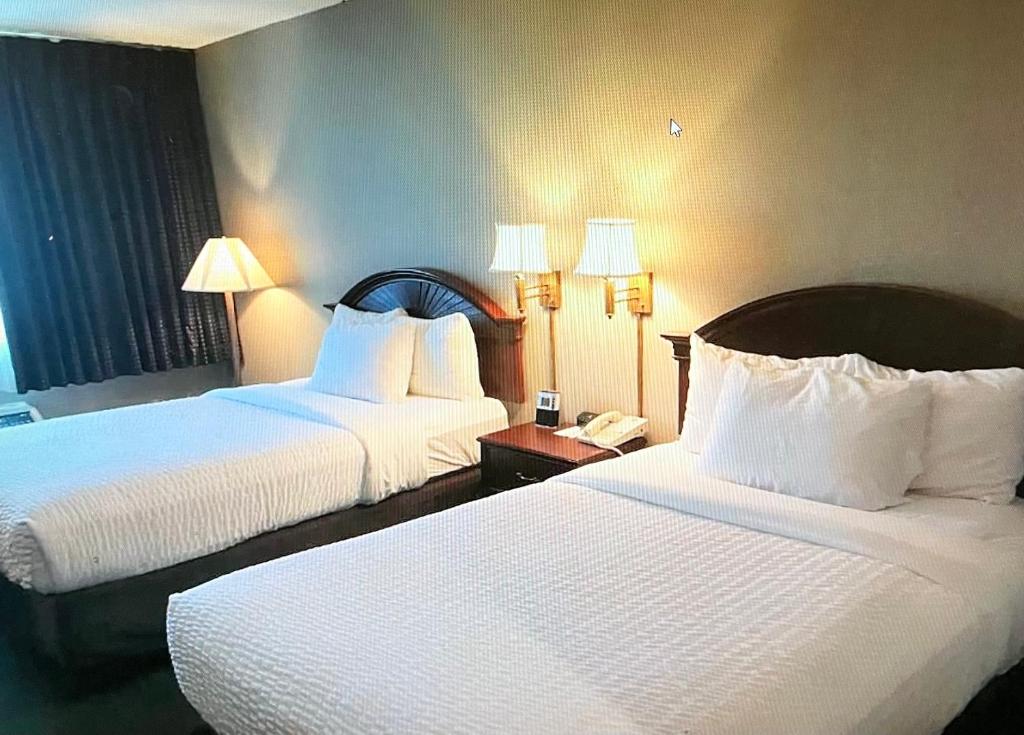 The Marx Hotel - Downtown - University Area - Error