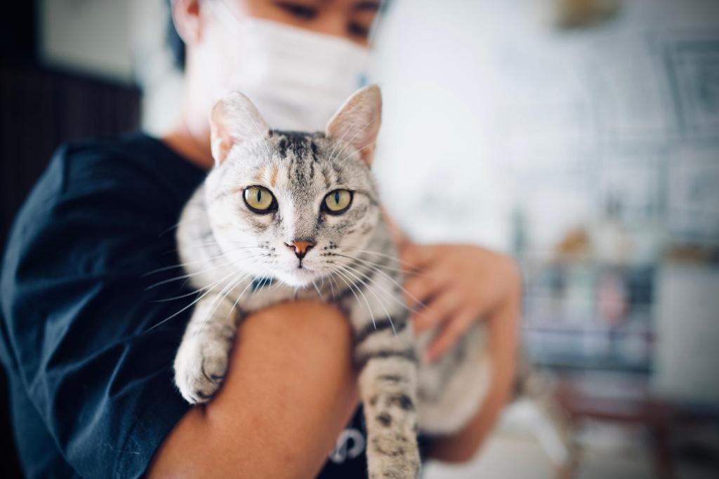 a cat sitting on the lap of a woman at It's Mine Hostel in Taitung City