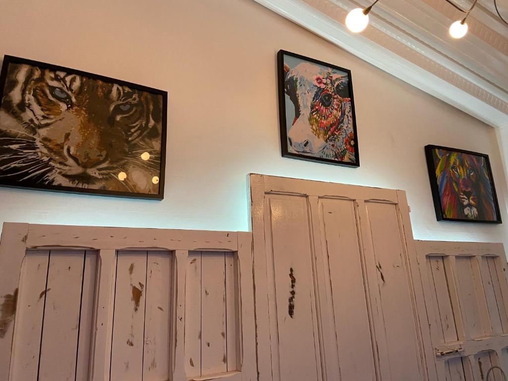 CASA NAIA Santa Rufina 7 - 11