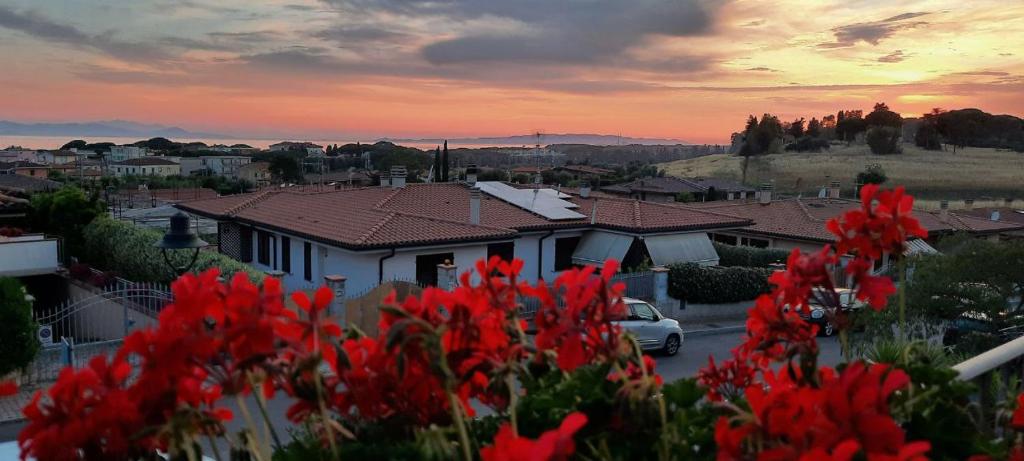 a group of red flowers in front of a house at Casa d'aMare - a 600 mt dalla spiaggia in Follonica