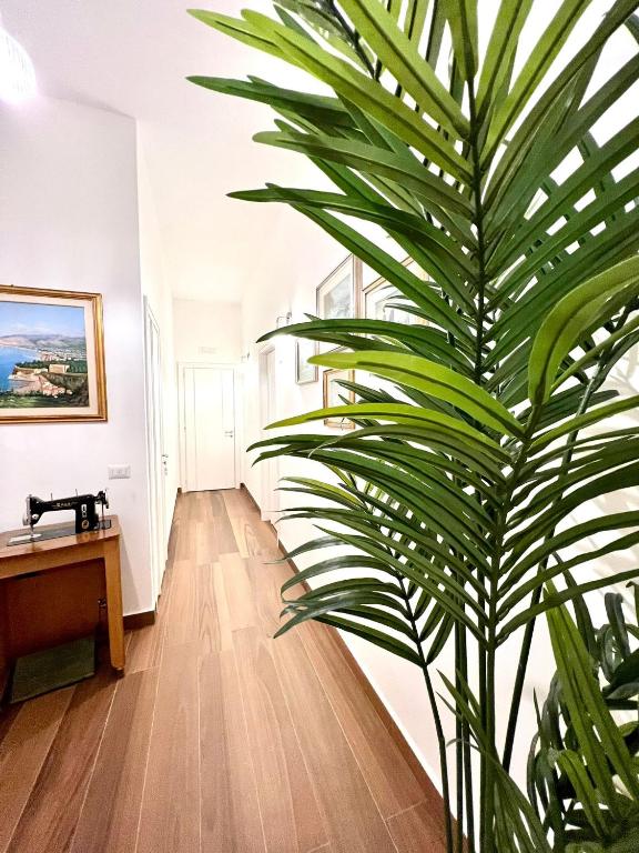 IL FILO DI ARIANNA - 14