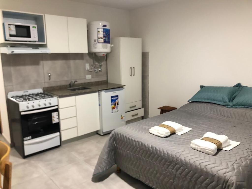 Η κουζίνα ή μικρή κουζίνα στο APARMENT Paraguay 347