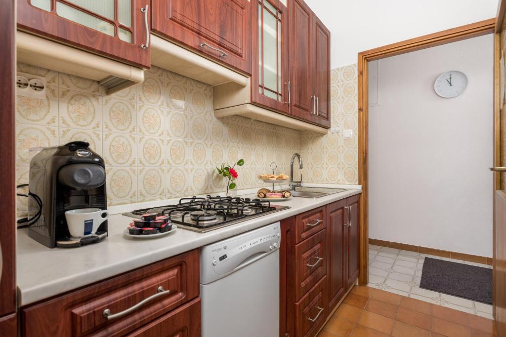 Kuchyň nebo kuchyňský kout v ubytování Guest House Dešković