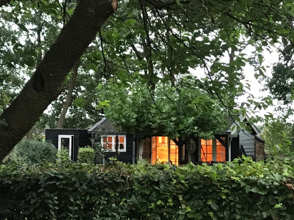 een klein zwart huis midden in een bos bij De Túnfûgel (tiny house) in Jonkersland