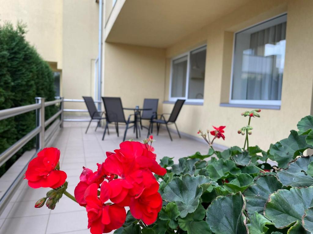 Balkón nebo terasa v ubytování Amber Studio