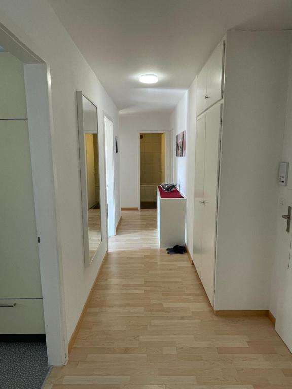 Fotografie z fotogalerie ubytování 3-Room Apartment for Business Travelers or Familie, Free WiFi & TV with 100 Countries, DAZN, Sky, Netflix & Disney v destinaci Wynau