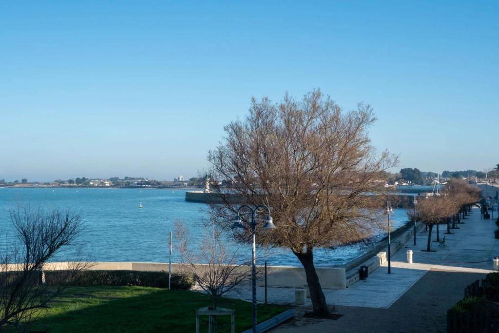 Cocon vue mer