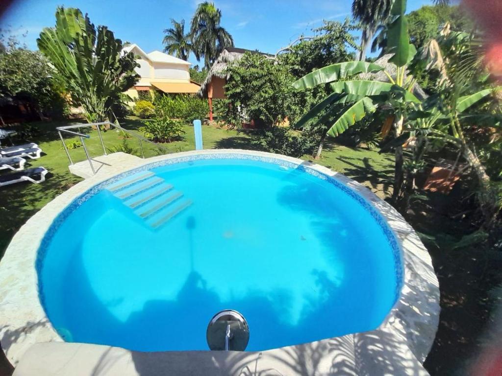 a large blue swimming pool in a yard at Labellaventura in Las Galeras